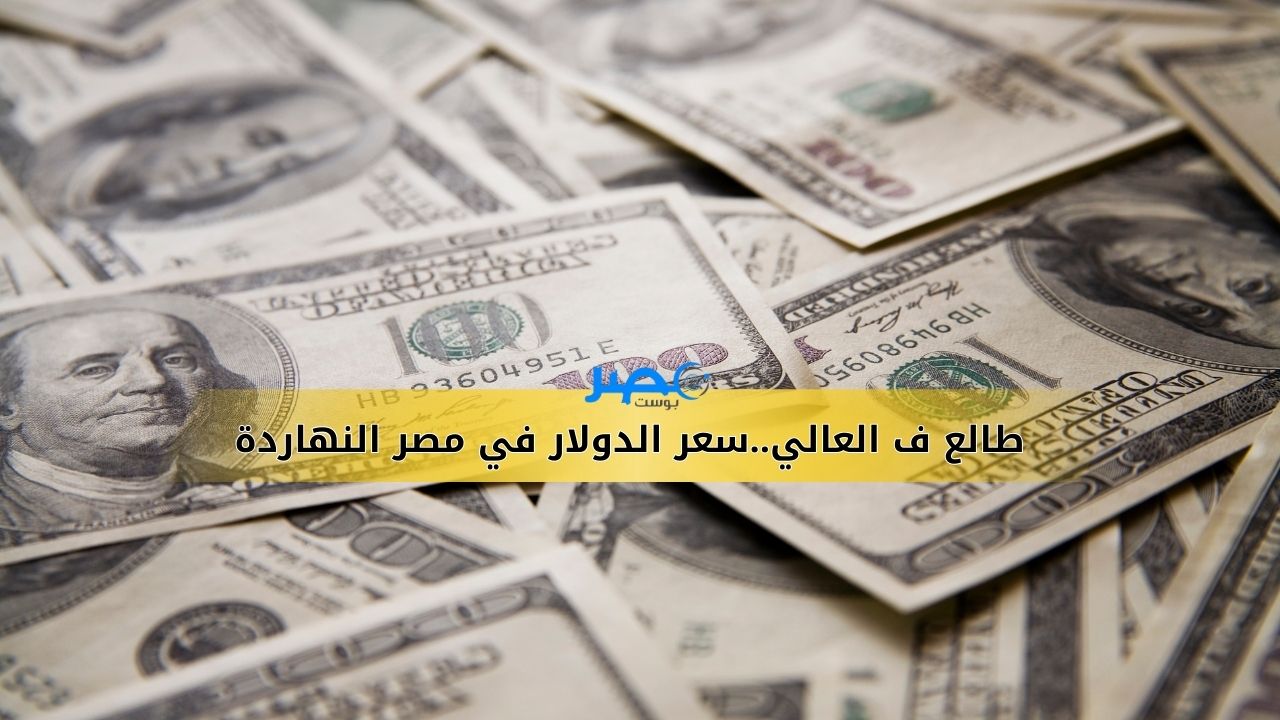 الحق شوف..سعر الدولار في مصر اليوم الأحد 3-9-2023 ..اوعا البريكس