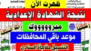 البوابة الإلكترونية محافظة الشرقية.. الاستعلام عن نتيجة الشهادة الإعدادية 2024 بالاسم ورقم الجلوس