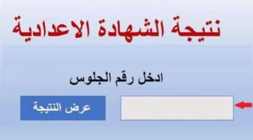 ظهرت الان.. نتيجة الشهادة الاعدادية في محافظة القاهرة.. اليكم الرابط الرسمي