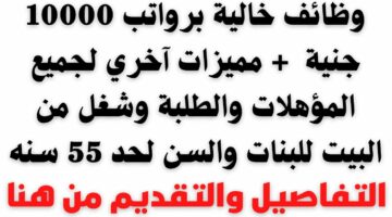 هتاخد 10000 جنيه في الشهر.. وزارة الشباب والرياضة تعلن عن وجود وظائف مطلوبة للجنسين في 10 محافظات براتب ضخم.. الحق قدم الآن