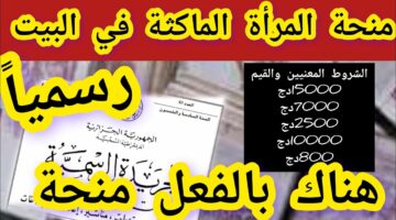 مليونيرة من غير شغل.. الوكالة الوطنية للتشغيل تعلن شروط منحة المرأة الماكثة في البيت 2024 بالجزائر