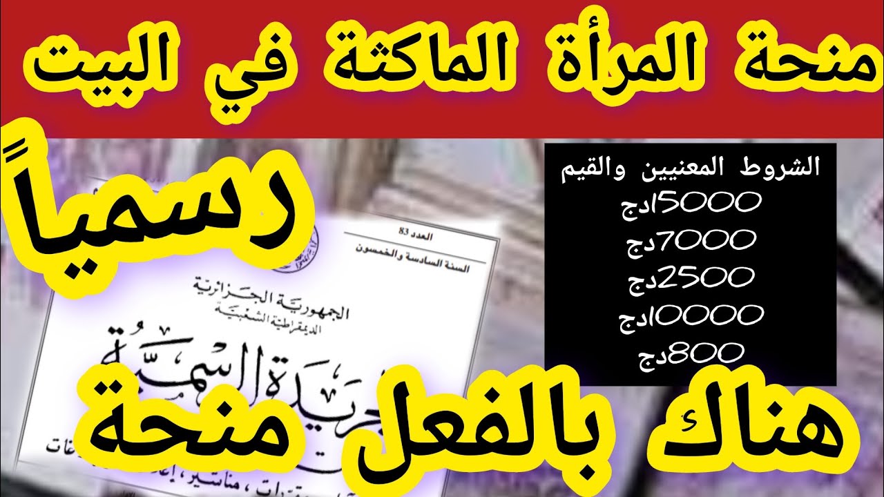 مليونيرة من غير شغل.. الوكالة الوطنية للتشغيل تعلن شروط منحة المرأة الماكثة في البيت 2024 بالجزائر