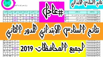 “الآن” نتائج السادس ابتدائي النجف دور اول عبر google drive