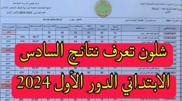 نتائج السادس الابتدائي 2024 ذي قار بالعراق بالاسم كشوفات النجاح عبر نتائجنا وموقع الوزارة الرسمي