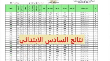 تم الرفع.. تربية الرصافة الاولى نتائج السادس الابتدائي 2024 بالاسم فقط عبر google drive