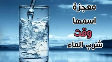 ليه تشرب مايه، وهل ليها وقت محدد.. تعرف على أفضل أوقات لشرب الماء خلال اليوم