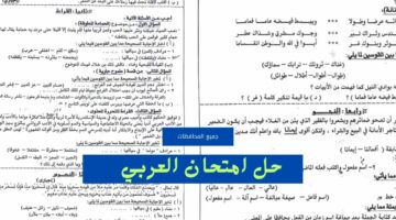 (جميع المحافظات) هنا نموذج اجابة امتحان اللغة العربية حل امتحان العربي وتوزيع الدرجات