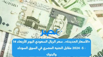 «الأسعار الجديدة».. سعر الريال السعودي اليوم الأربعاء 15 – 5- 2024 مقابل الجنيه المصري في السوق السوداء والبنوك