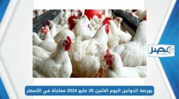 كيلو الفراخ بكام؟.. بورصة الدواجن اليوم الاثنين 20 مايو 2024 مفاجأة في الأسعار