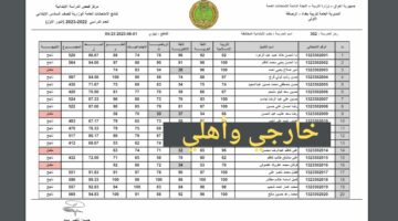 رابط جوجل درايف pdf.. تنزيل نتائج السادس الابتدائي ٢٠٢٤ الكرخ الاولى 1 بالاسم