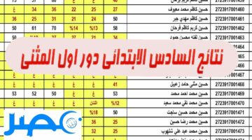 “الأن” رابط الاستعلام عن نتائج السادس الابتدائي دور اول المثنى 2024 منصة نتائجنا