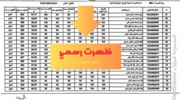 صدرت رسمياً .. نتائج السادس الابتدائي 2024 ذي قار الدور الاول results تنزيل pdf مجاناً