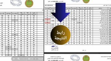 (بالاسم فقط) هُنا إعلان نتائج السادس الابتدائي نينوي 2024 الدور الأول بالاسم