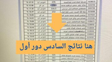 نزلت رسمياً . رابط استخراج نتائج نينوي 2024 السادس الابتدائي 2024 برقم الامتحان دور أول