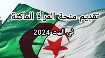 سجلي عبر رابط الوكالة الوطنية للتشغيل في منحة المرأة الماكثة في البيت 2024 .. للحصل على 800 دينار