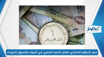 سعر الدرهم الاماراتي مقابل الجنيه المصري AED/EGP في البنوك والسوق السوداء