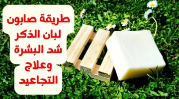 الصابونة السحرية الجبارة.. اعملي صابونة لبان الدكر لعلاج جميع مشاكل البشرة “حب الشباب والهالات السوداء وشد التجاعيد”