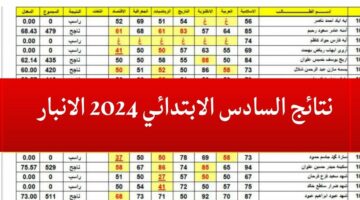 “ظهرت الان” نتائج السادس الابتدائي 2024 محافظة الانبار عبر موقع نتائجنا mlazemna