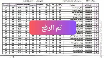 (تعديل اللينك) رسمياُ رابط تنزيل نتائج السادس الابتدائي المثني دور اول كوكل درايف