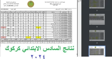 تسريب نتائج تربية كركوك بالصور من المدارس “نتائج السادس الابتدائي 2024 كركوك” ظهرت حالًا