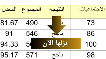 شوكت نتائج البصرة 2024.. رابط نتائج السادس الابتدائي بالاسم نتائجنا