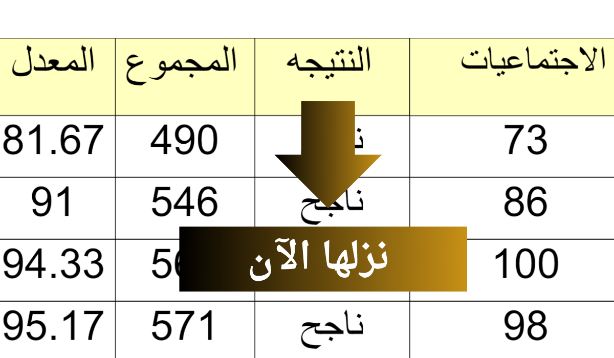 شوكت نتائج البصرة 2024.. رابط نتائج السادس الابتدائي بالاسم نتائجنا