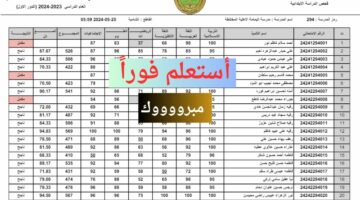 بالدرجات كاملة .. رابط نتائج السادس الابتدائي البصرة ٢٠٢٤ الدور الاول pdf بالاسم فقط مجاناً