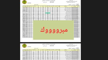 (مبروك ظهرت) رابط نتائج السادس الابتدائي دهوك 2024 بالاسم دور أول