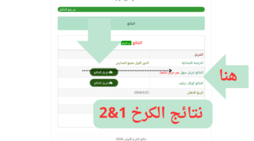 روابط drive بالاسم .. تنزيل نتائج الكرخ 1&2 نتيجة السادس الابتدائي 2024 دور أول