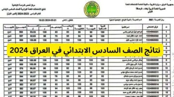 استعلم.. طريقة استخراج نتائج الصف السادس الابتدائي محافظه ديالي بالعراق الدور الأول 2024