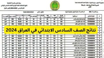 الاستعلام عن نتائج الصف السادس الابتدائي العراق محافظة نينوى الدور الأول 2024