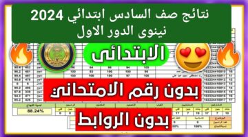 فرحة النجاح تحل بـ نينوى.. نتائج صف السادس ابتدائي 2024 نينوى الدور الاول تحميل pdf _ عبر موقع وزارة التربية العراقية