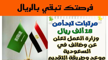 “وظيفة الأحلام” وزارة العمل السعودية تعلن عن حاجتها لهذه الوظائف سارع بالتقديم الآن عبر الرابط