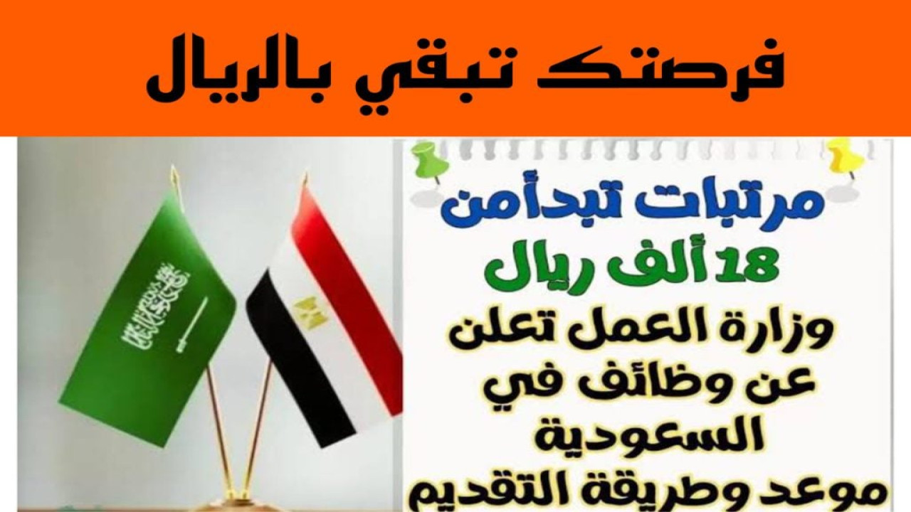 “وظيفة الأحلام” وزارة العمل السعودية تعلن عن حاجتها لهذه الوظائف سارع بالتقديم الآن عبر الرابط