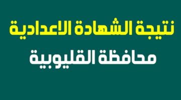 ترقبوا.. ما موعد ظهور نتيجة الشهادة الإعدادية محافظة القليوبية 2024؟.. “التربية والتعليم” تُوضح