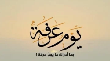 دعاء عرفة المستجاب لزيادة الرزق وغفران الذنوب وقضاء الحاجات 1445