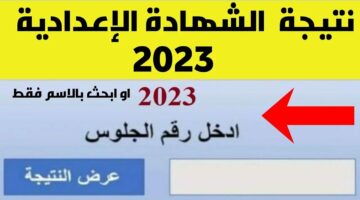 هُنا.. نتيجة الصف الثالث الإعدادي برقم الجلوس القليوبية الترم الثاني ٢٠٢٤ عبر بوابة مديرية التربية والتعليم