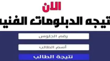 ” مبروك النجاح ” لينك fany.emis.gov.eg نتيجه الدبلومات الفنيه 2024 بالرقم القومي عبر موقع بوابة التعليم الفني ” نتائج الدبلوم كل المحافظات “