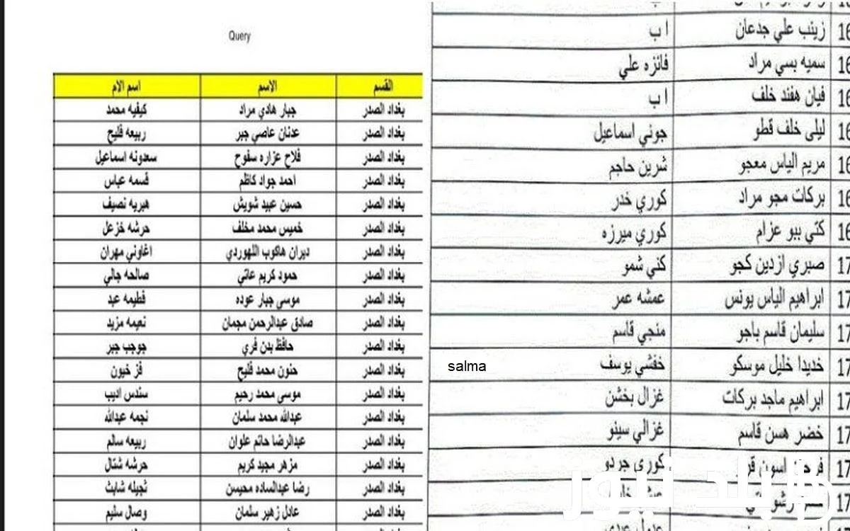 من هنا.. اسماء المشمولين في الرعاية الاجتماعية الوجبة الأخيرة وخطوات الاستعلام عنها