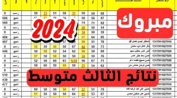 أسماء الناجحين.. رابط الاستعلام عن نتائج الثالث المتوسط 2024 الدور الأول في العراق موقع نتائجنا