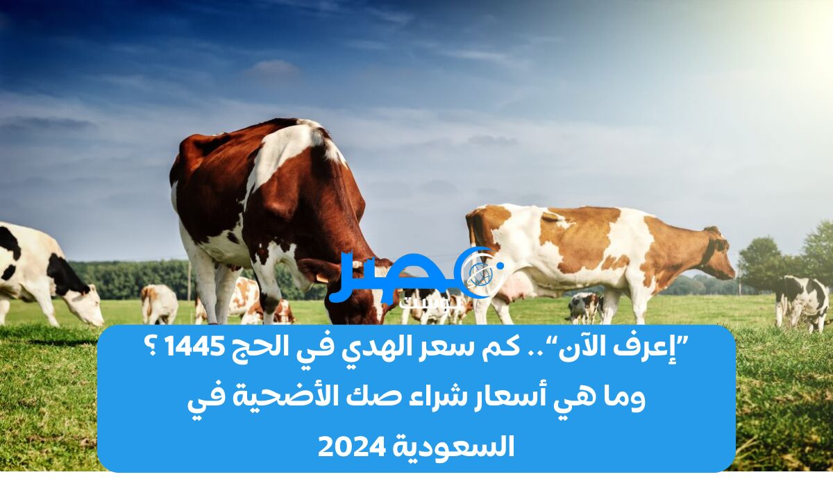 «إعرف الآن».. كم سعر الهدي في الحج 1445 ؟ وما هي أسعار شراء صك الأضحية في السعودية 2024