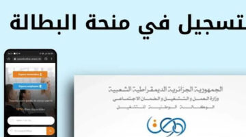 الرابط الرسمى من هنا.. رابط الاستعلام عن منحة البطالة في الجزائر 2024