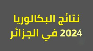 رابط رسمي.. خطوات الاستعلام عن نتائج البكالوريا في الجزائر 2024 وموعدها