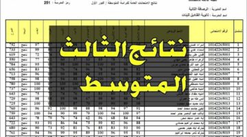 رابط وخطوات الاستعلام عن نتائج الصف الثالث متوسط من وزارة التربية العراقية عبر موقع نتائجنا