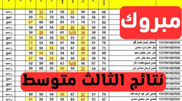 طلاب الثالث متوسط 💯 PDF ..نتيجة تالت متوسط العراق أربيل 2024 بالرقم الأمتحاني استعلم الآن من هنا mlazemna com