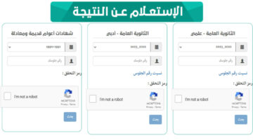 استعلم برقم جلوسك.. خطوات الاستعلام نتائج الصف التاسع 2024 في اليمن