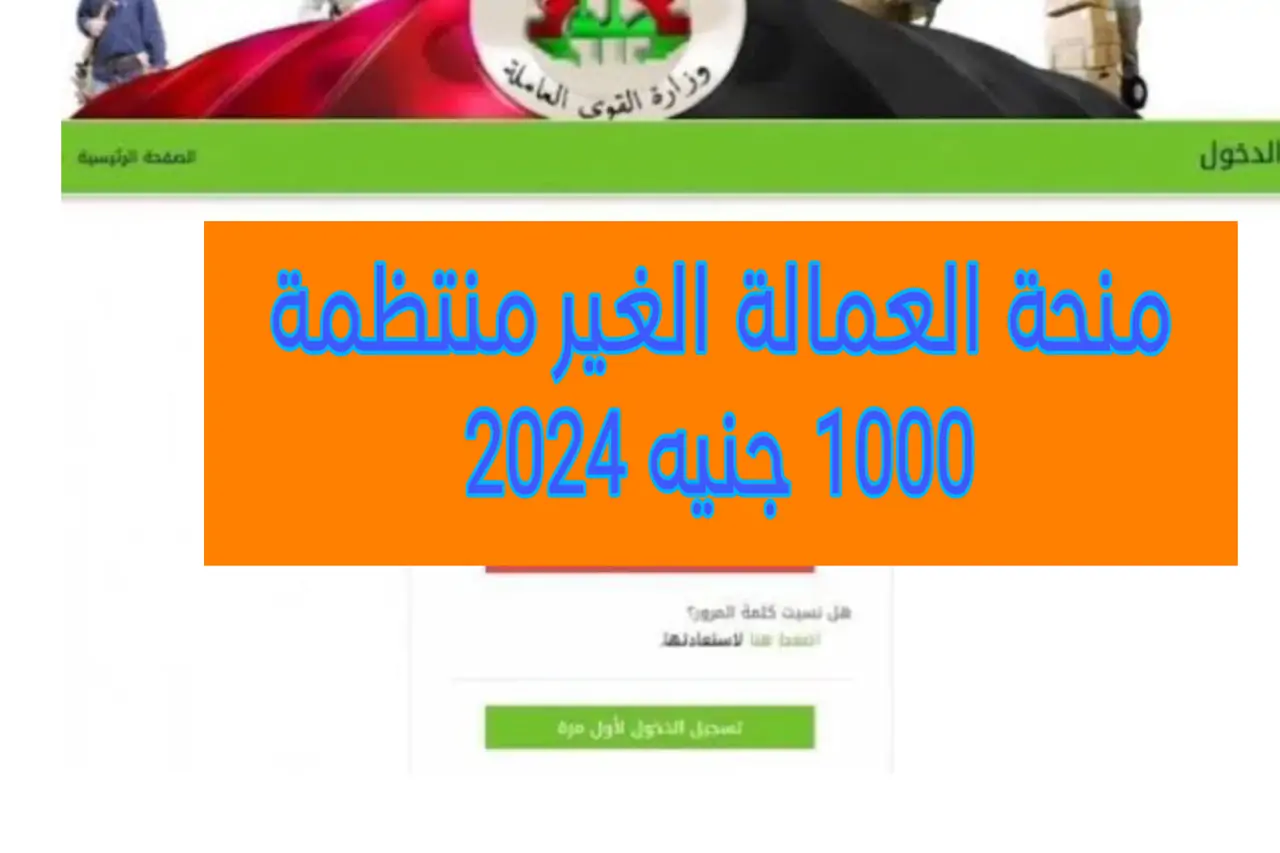 “وزارة القوى العاملة” في مصر توضح أهم الشروط للتقديم في منحة العمالة الغير منتظمة 2024