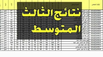 هنا لينك الاستعلام عن نتائج الثالث متوسط الدور الأول 2024 ومتى موعد إعلان النتيجة