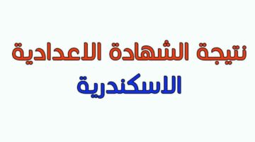 هُنا.. نتيجة الشهادة الإعدادية محافظة الإسكندرية البوابة الإلكترونية 2024 عبر موقع alexandria.gov.eg