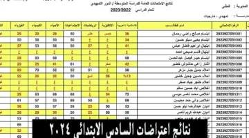 الخطوات بالتفاصيل.. الاستعلام عن نتائج اعتراضات السادس الابتدائي 2024 عموم محافظات العراق